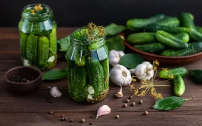 Kiszenie ogórków krok po kroku – sól, temperatura i moment, w którym partię się wyrzuca